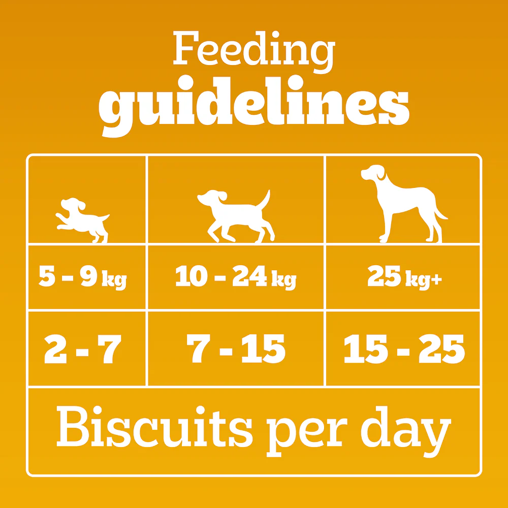 Pedigree Chicken Flavour Biscrok Dog Biscuits Dog Treats (500g) - Image 9