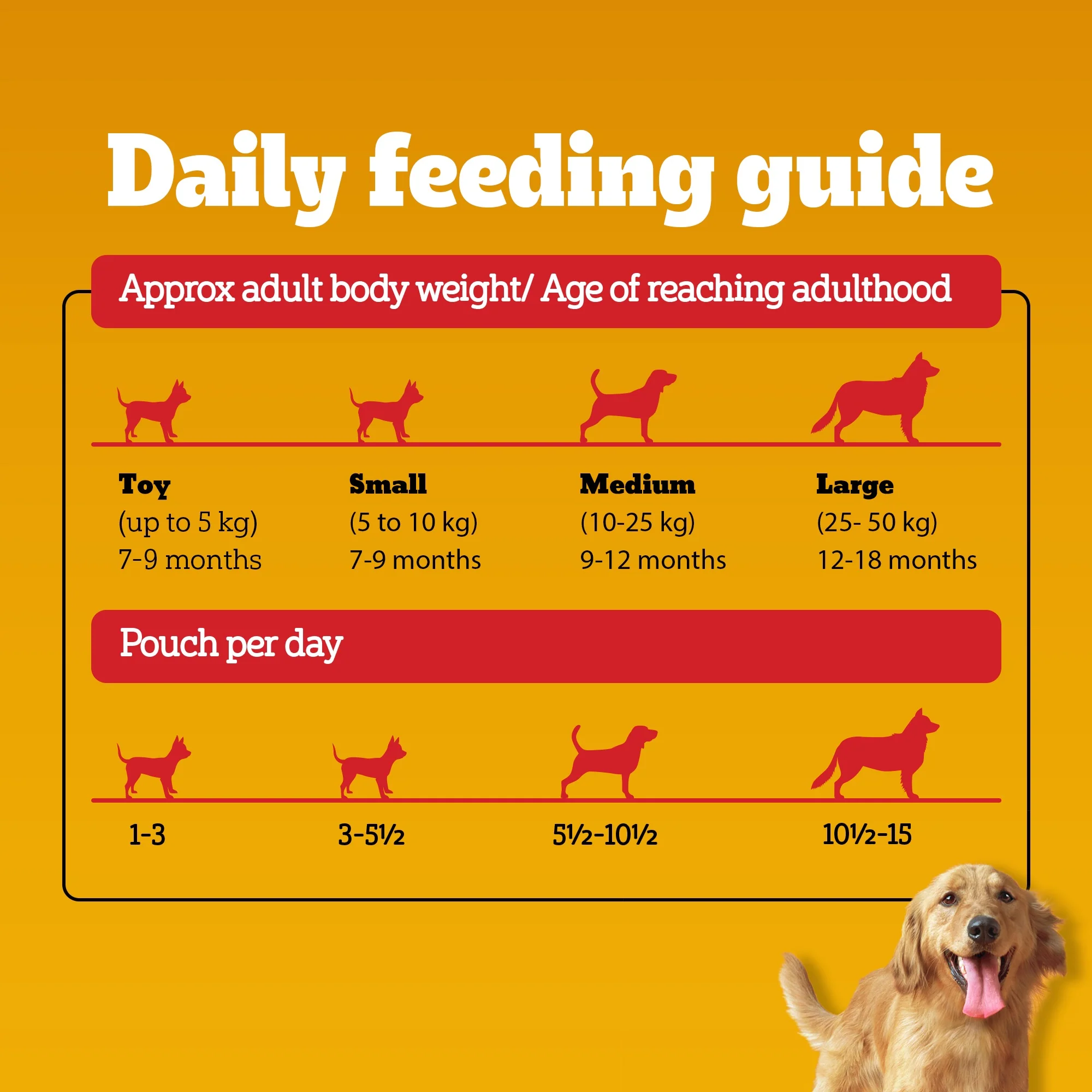 Pedigree Chicken and Liver Chunks in Gravy Adult Dog Wet Food (70g) - Image 15