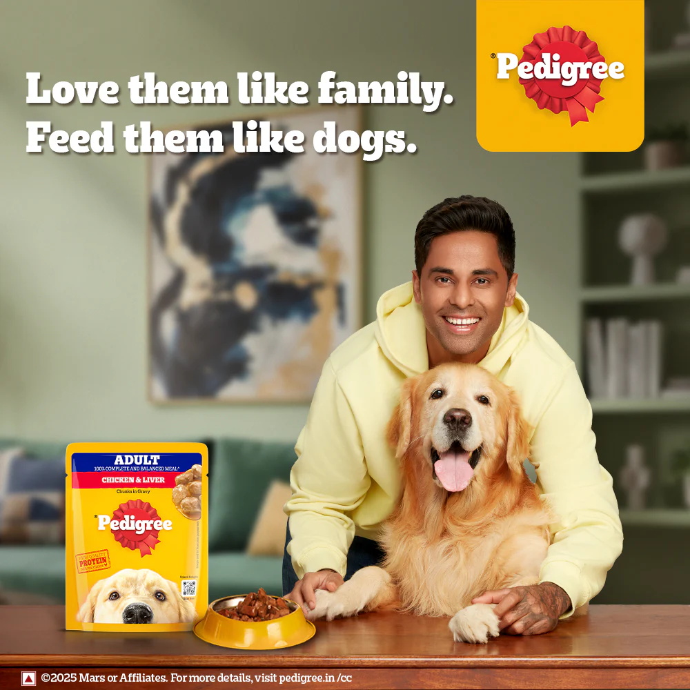Pedigree Chicken and Liver Chunks in Gravy Adult Dog Wet Food (70g) - Image 2