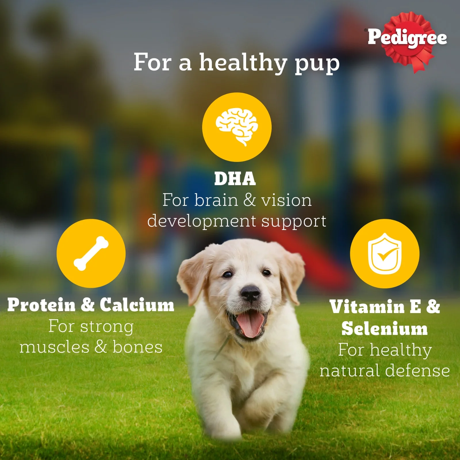 Pedigree Chicken & Liver Chunks in Gravy Puppy Wet Dog Food - Image 14
