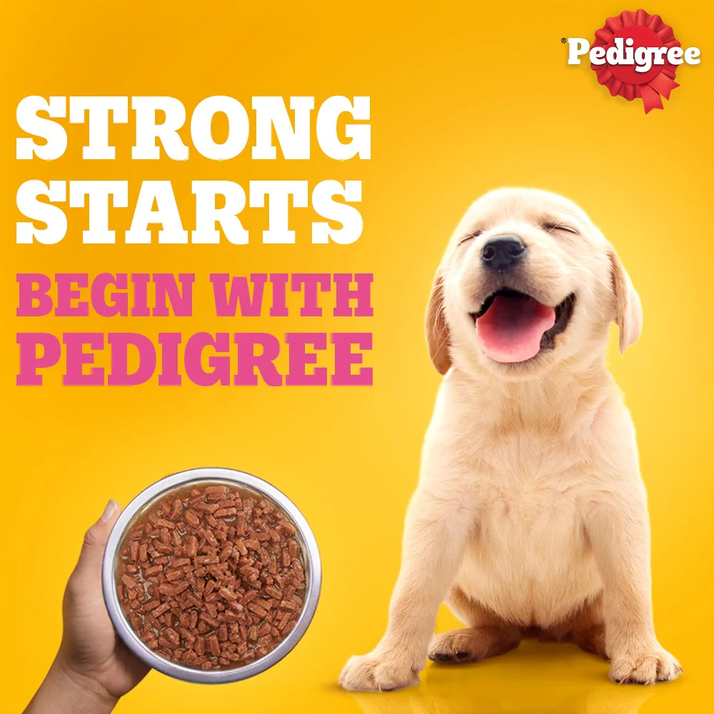 Pedigree Chicken & Liver Chunks in Gravy Puppy Wet Dog Food - Image 18