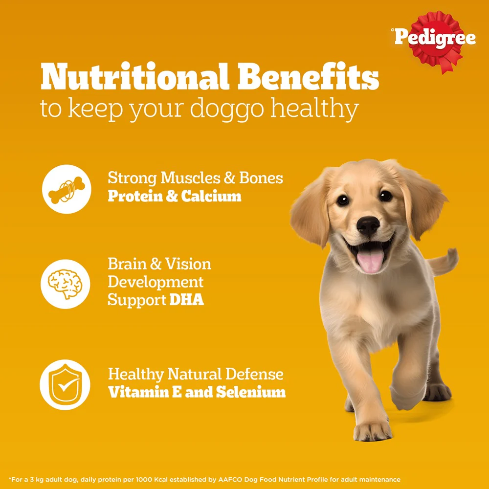 Pedigree Chicken & Liver Chunks in Gravy Puppy Wet Dog Food - Image 5