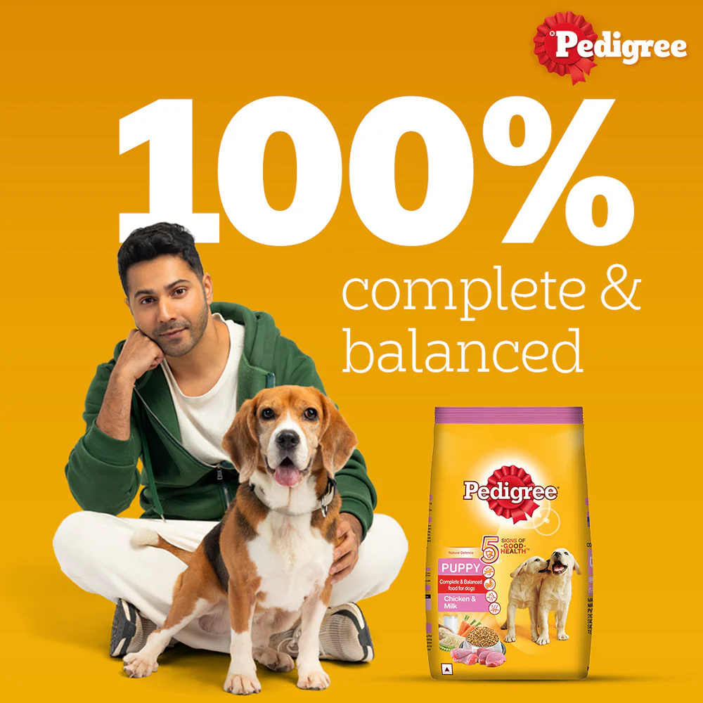 Pedigree Chicken and Milk Puppy Dog Dry Food - Image 8