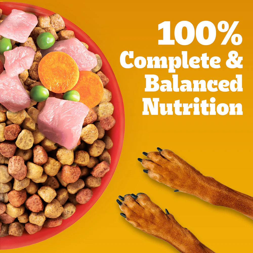 Pedigree Chicken & Veg Dry Food with Petkit FreshElement Solo Smart Wi Fi Feeder Ultimate Smart Feeding Adult Dog Combo - Image 10