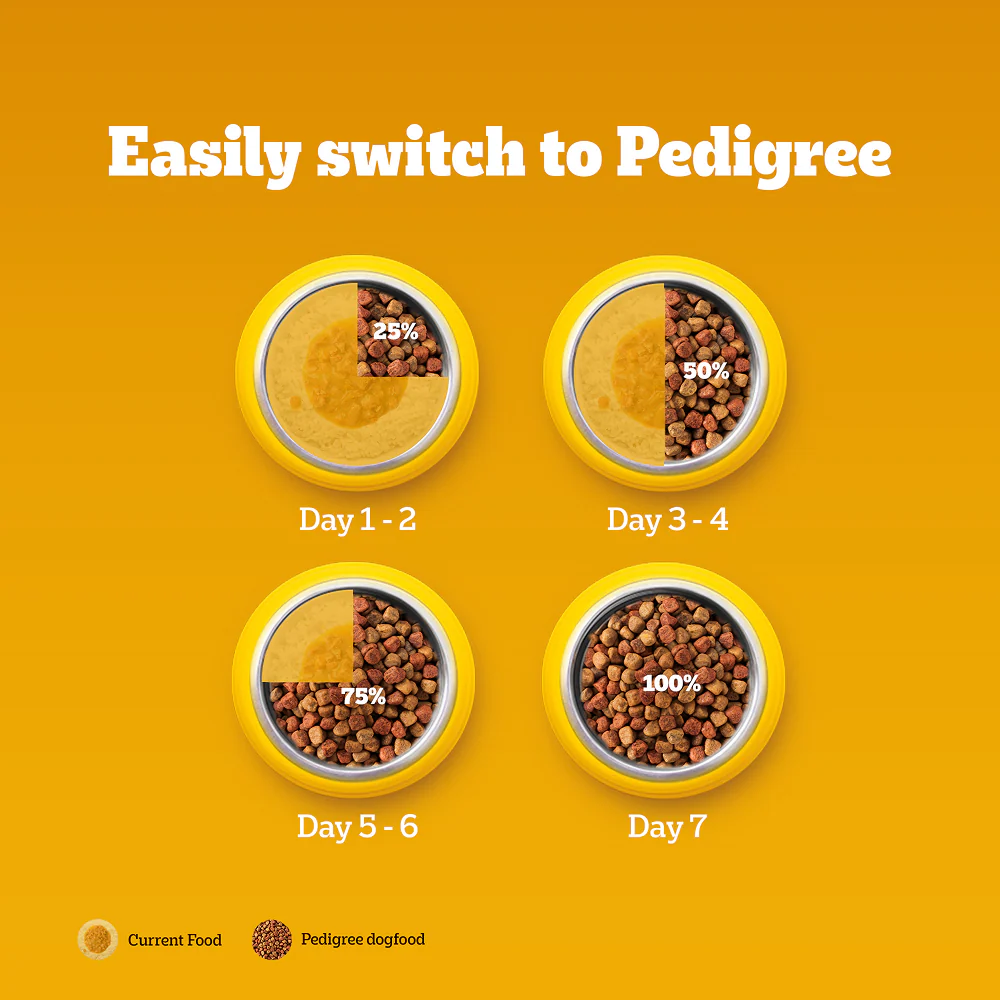 Pedigree Chicken & Veg Dry Food with Petkit FreshElement Solo Smart Wi Fi Feeder Ultimate Smart Feeding Adult Dog Combo - Image 11