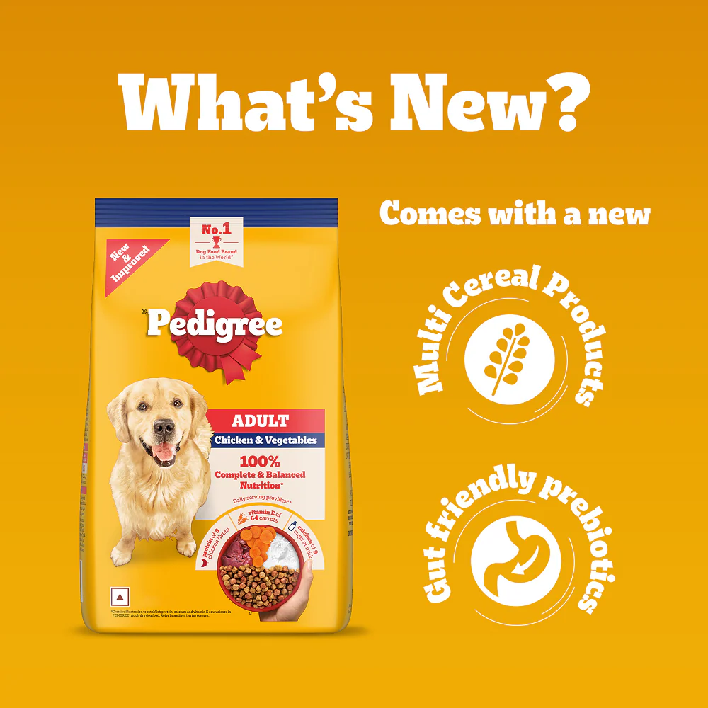 Pedigree Chicken & Veg Dry Food with Petkit FreshElement Solo Smart Wi Fi Feeder Ultimate Smart Feeding Adult Dog Combo - Image 13