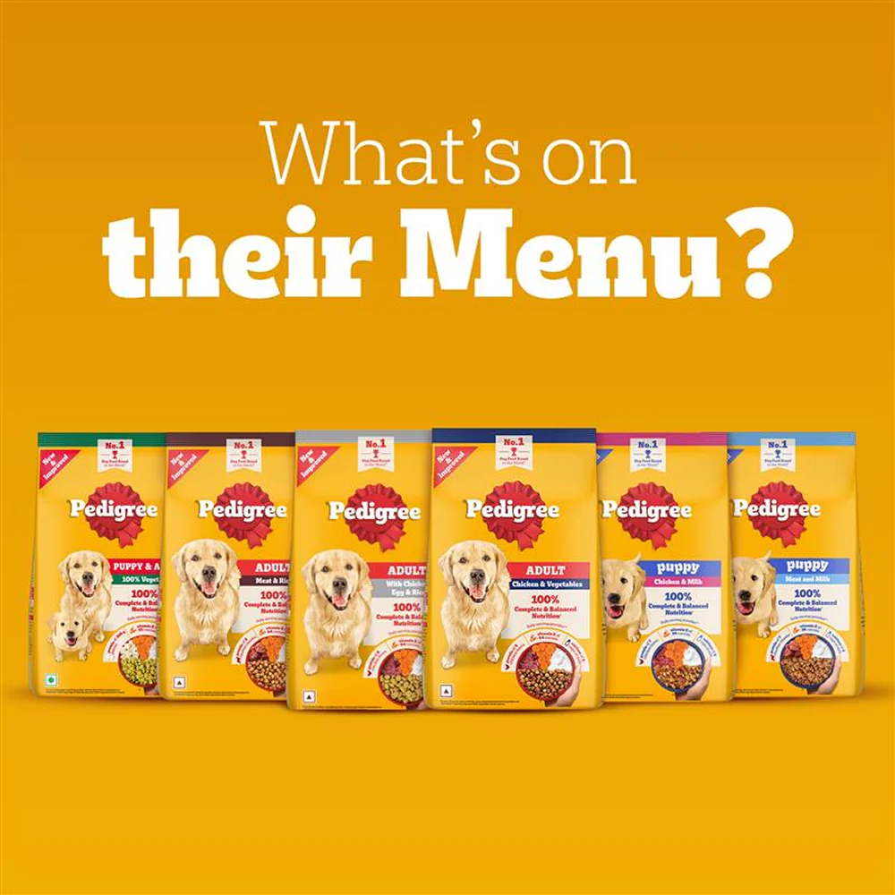Pedigree Chicken & Veg Dry Food with Petkit FreshElement Solo Smart Wi Fi Feeder Ultimate Smart Feeding Adult Dog Combo - Image 18