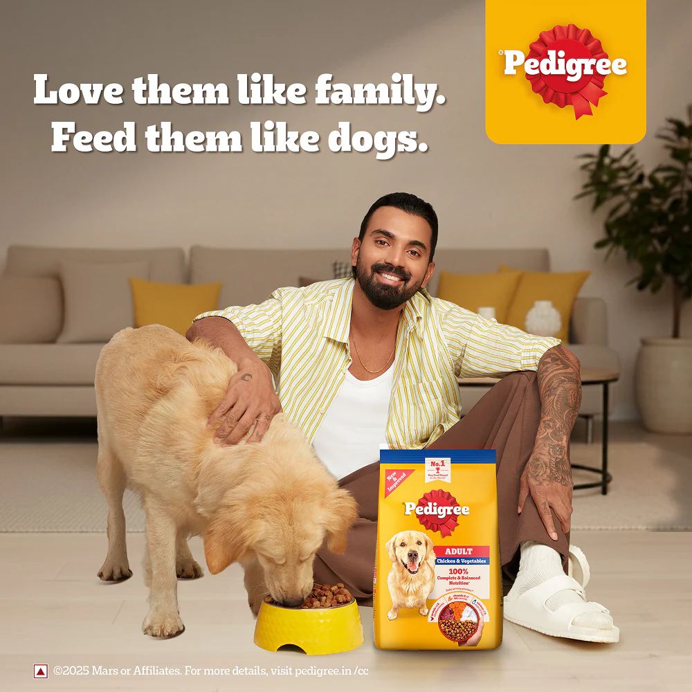 Pedigree Chicken & Veg Dry Food with Petkit FreshElement Solo Smart Wi Fi Feeder Ultimate Smart Feeding Adult Dog Combo - Image 4