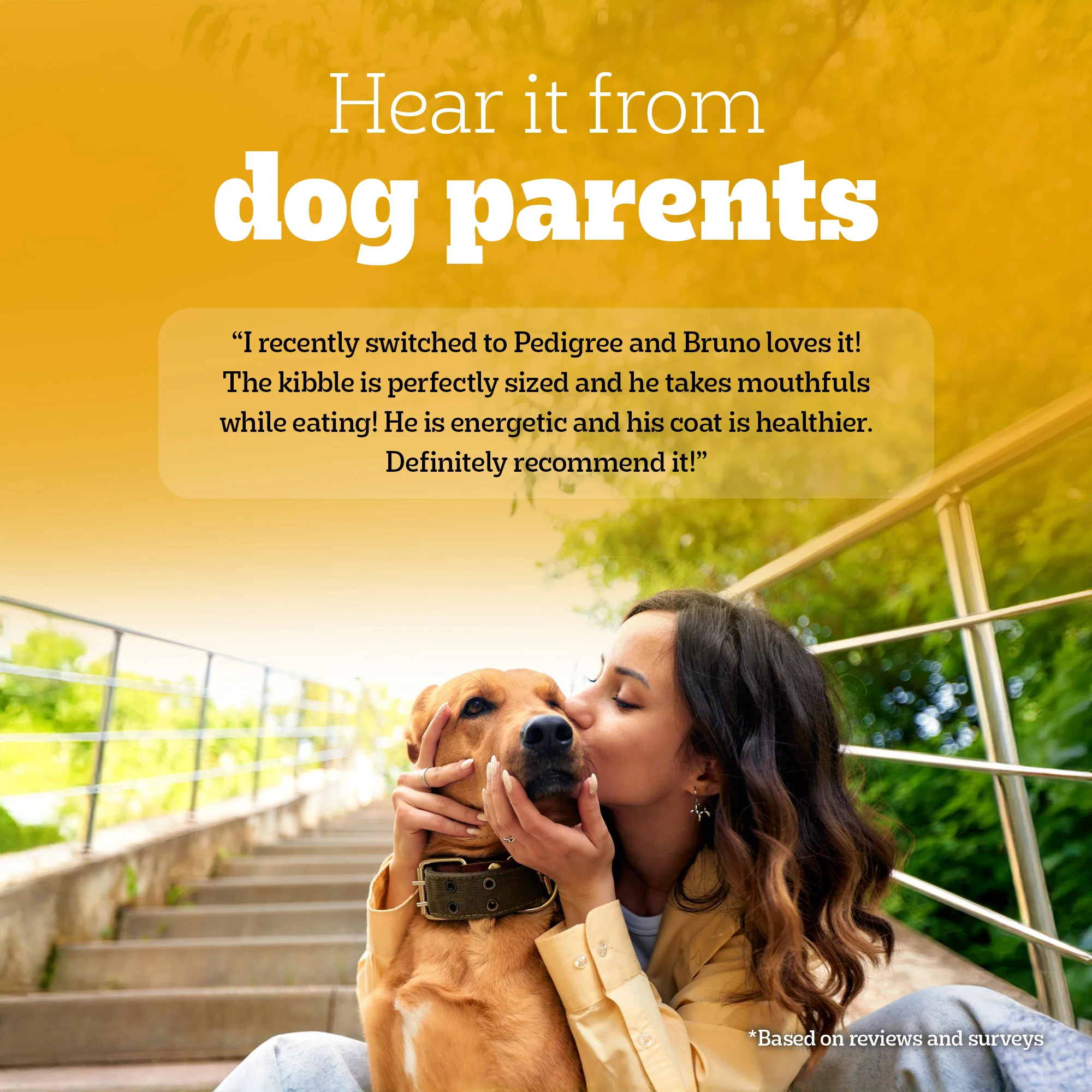 Pedigree Chicken and Vegetables Adult Dry Dog Food - Image 8