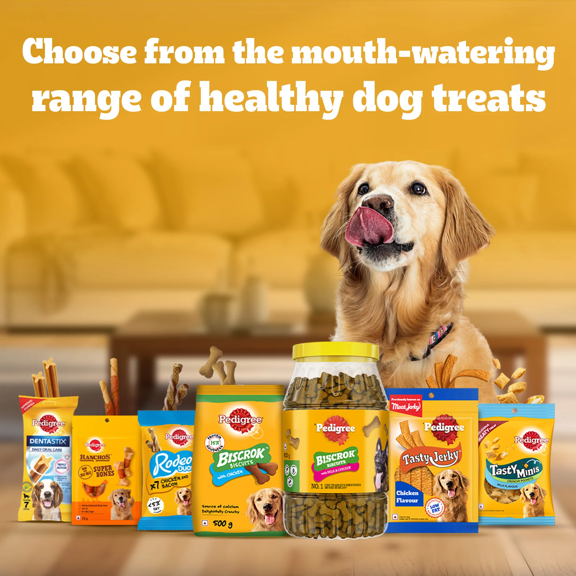 Pedigree Chicken with Milk Flavour (4+ Months) Biscrok Biscuits Jar Treats for Dogs - Image 12