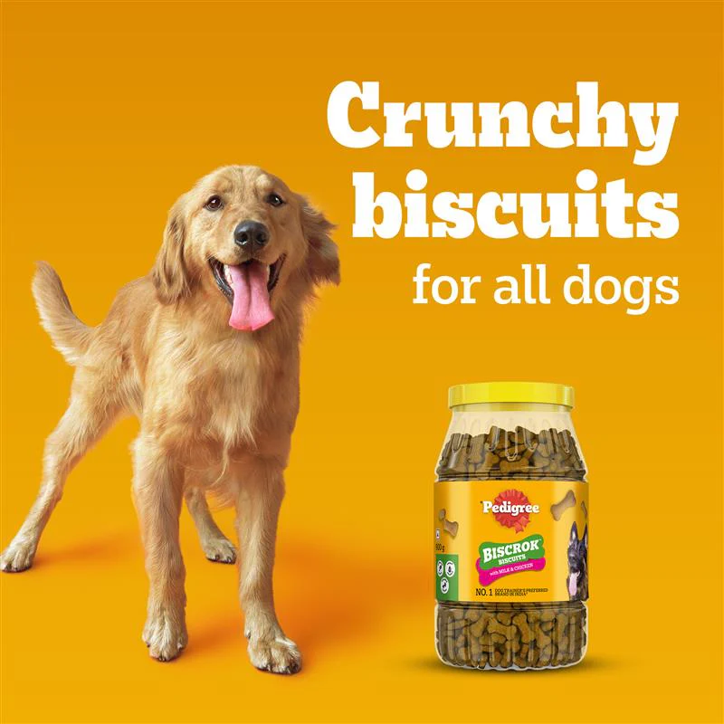 Pedigree Chicken with Milk Flavour (4+ Months) Biscrok Biscuits Jar Treats for Dogs - Image 7