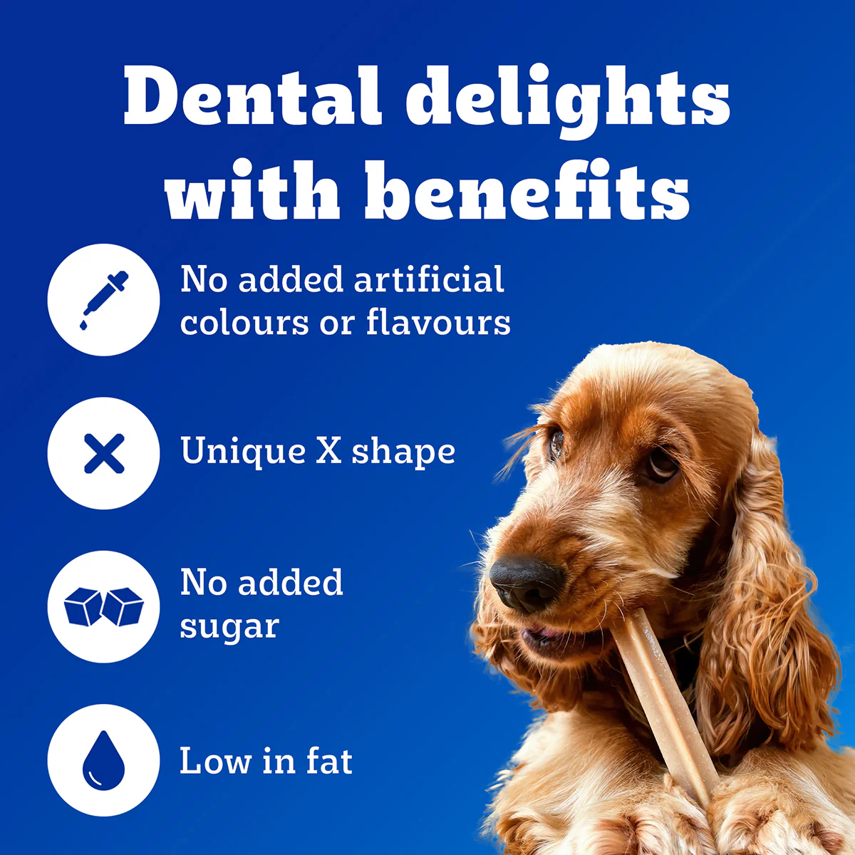 Pedigree Dentastix Oral Care for Adult (Small Breed of 5 to 10 kg) Dog Treats - Image 15