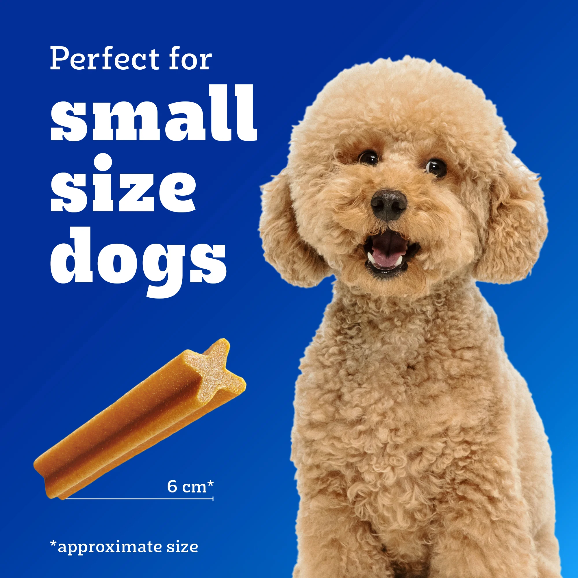 Pedigree Dentastix Oral Care for Adult (Small Breed of 5 to 10 kg) Dog Treats - Image 3