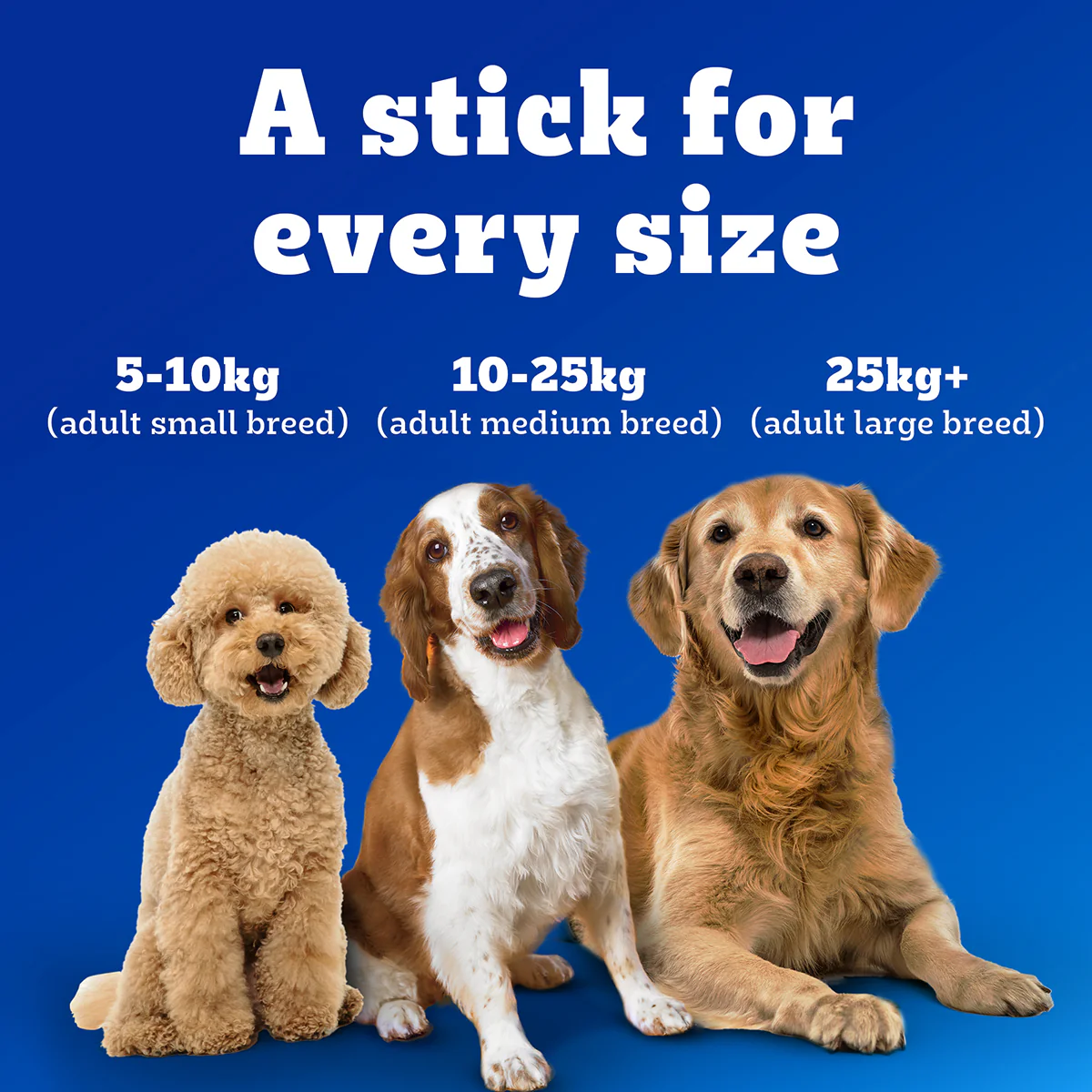 Pedigree Dentastix Oral Care for Adult (Small Breed of 5 to 10 kg) Dog Treats - Image 4