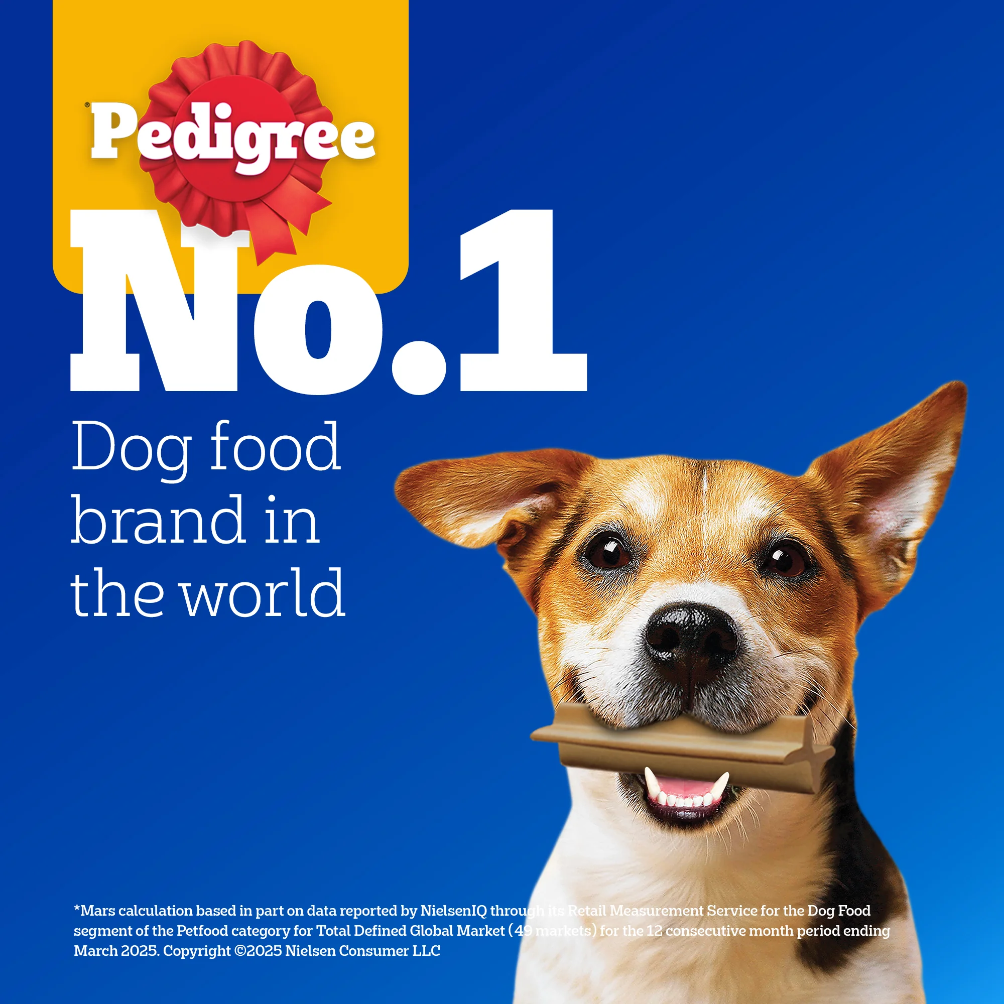 Pedigree Dentastix Oral Care for Adult (Large Breed of 25 kg+) Dog Treats - Image 10