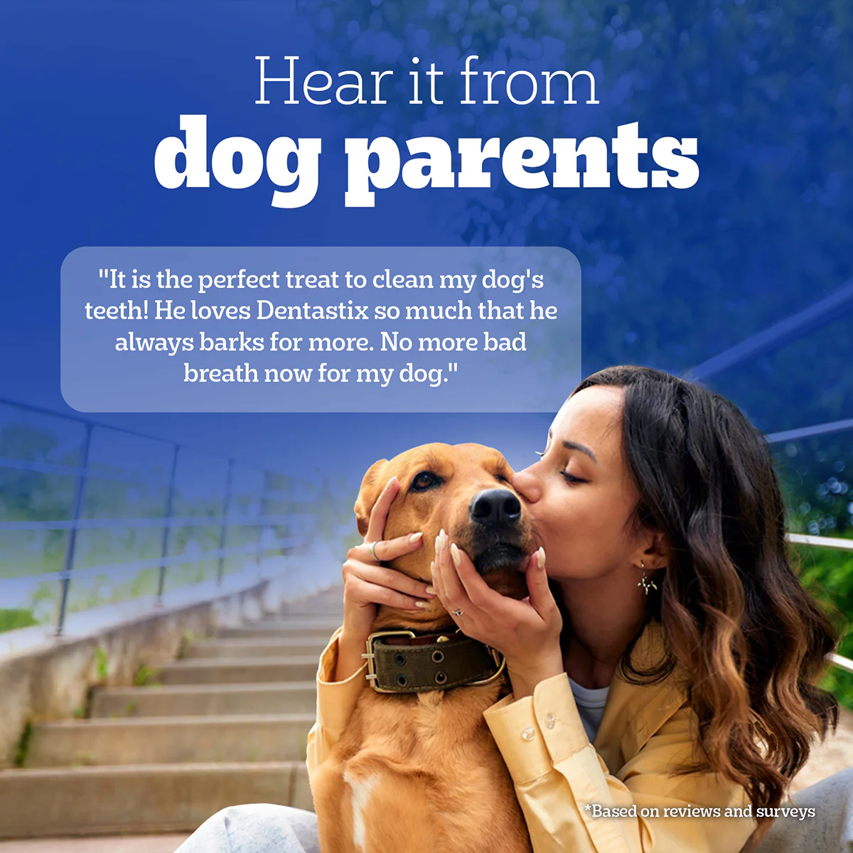 Pedigree Dentastix Oral Care for Adult (Large Breed of 25 kg+) Dog Treats - Image 12