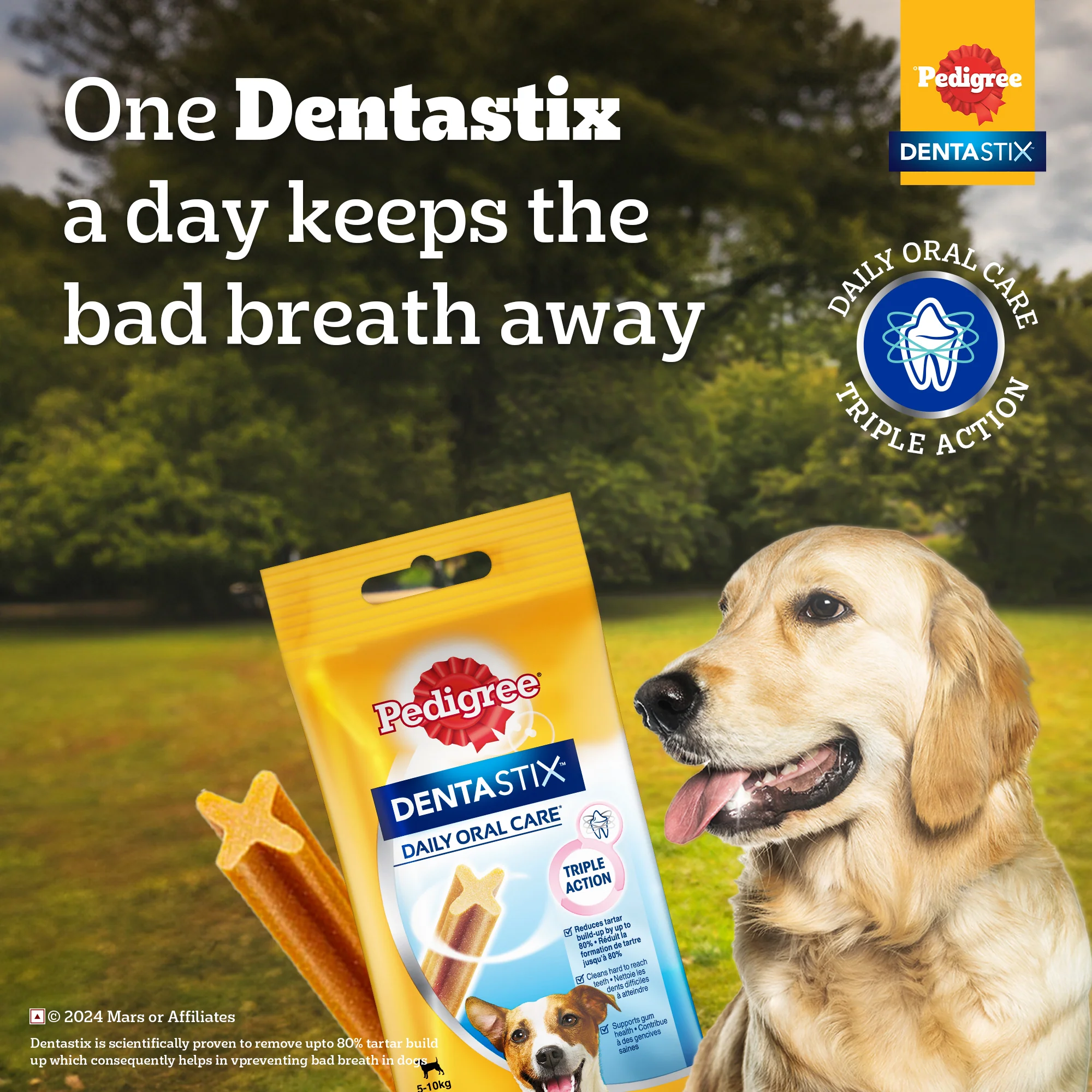 Pedigree Dentastix Oral Care for Adult (Large Breed of 25 kg+) Dog Treats - Image 17