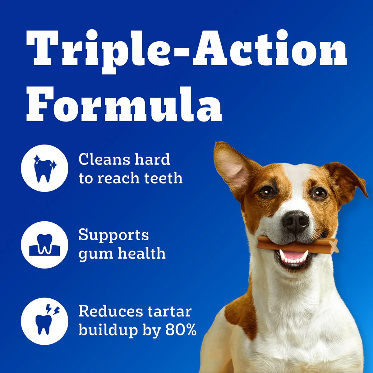 Pedigree Dentastix Oral Care for Adult (Large Breed of 25 kg+) Dog Treats - Image 2