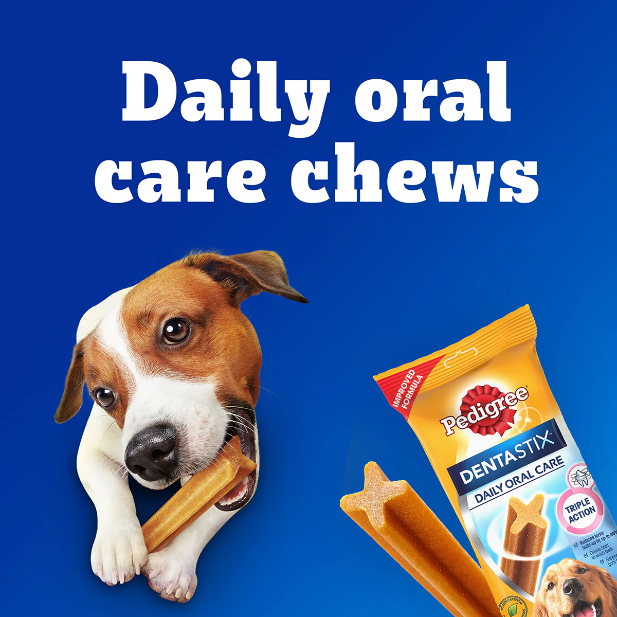 Pedigree Dentastix Oral Care for Adult (Large Breed of 25 kg+) Dog Treats - Image 4
