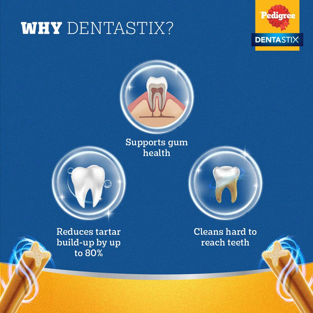 Pedigree Dentastix Oral Care for Adult (Medium Breed 10 to 25 kg) Dog Treats - Image 6