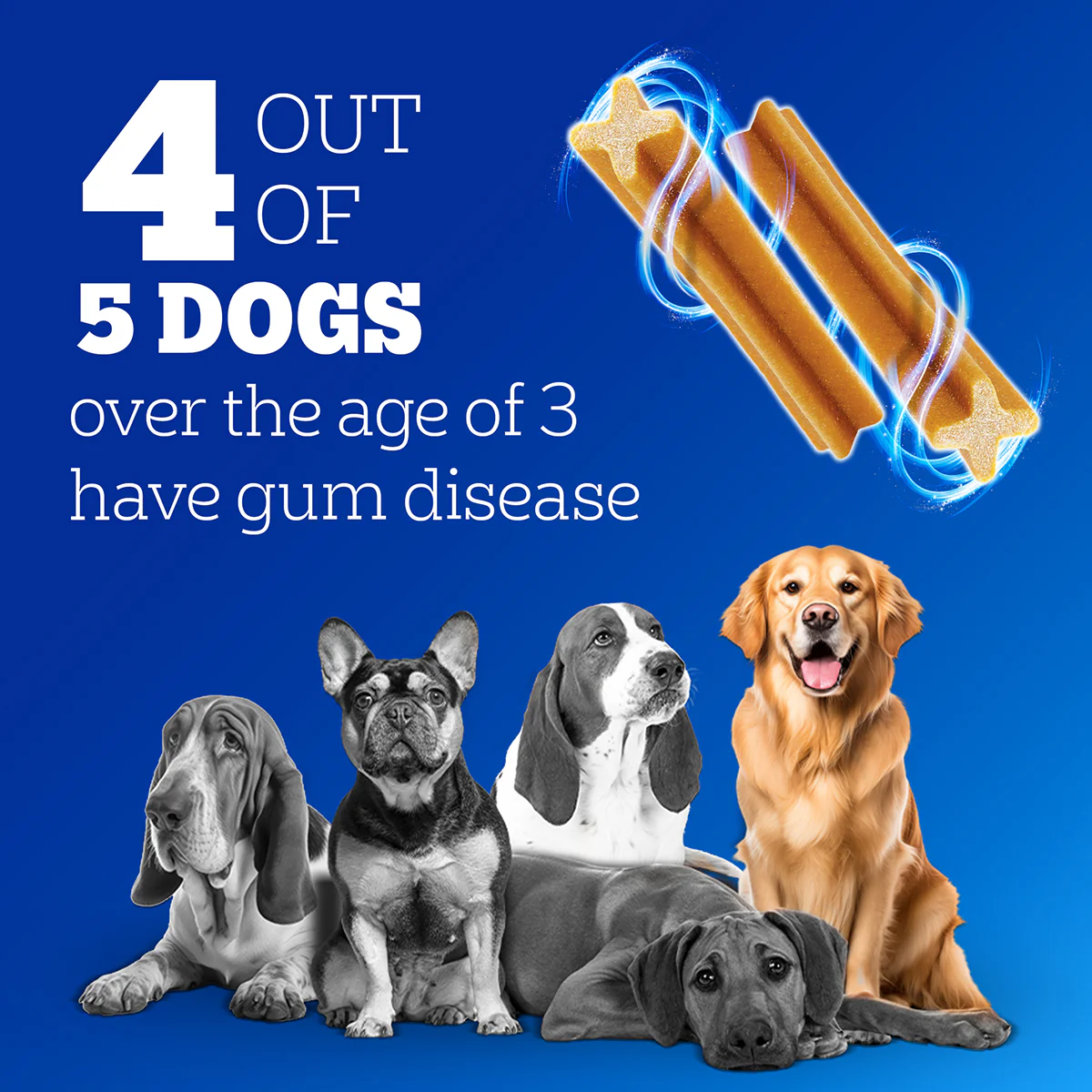 Pedigree Dentastix Oral Care for Adult (Medium Breed of 10 to 25 kg) Dog Treats - Image 5