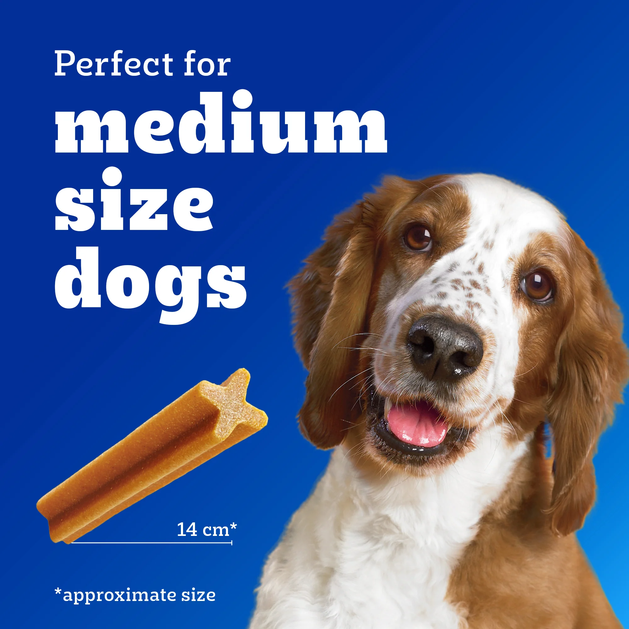 Pedigree Dentastix Oral Care for Adult (Medium Breed of 10 to 25 kg) Dog Treats - Image 7
