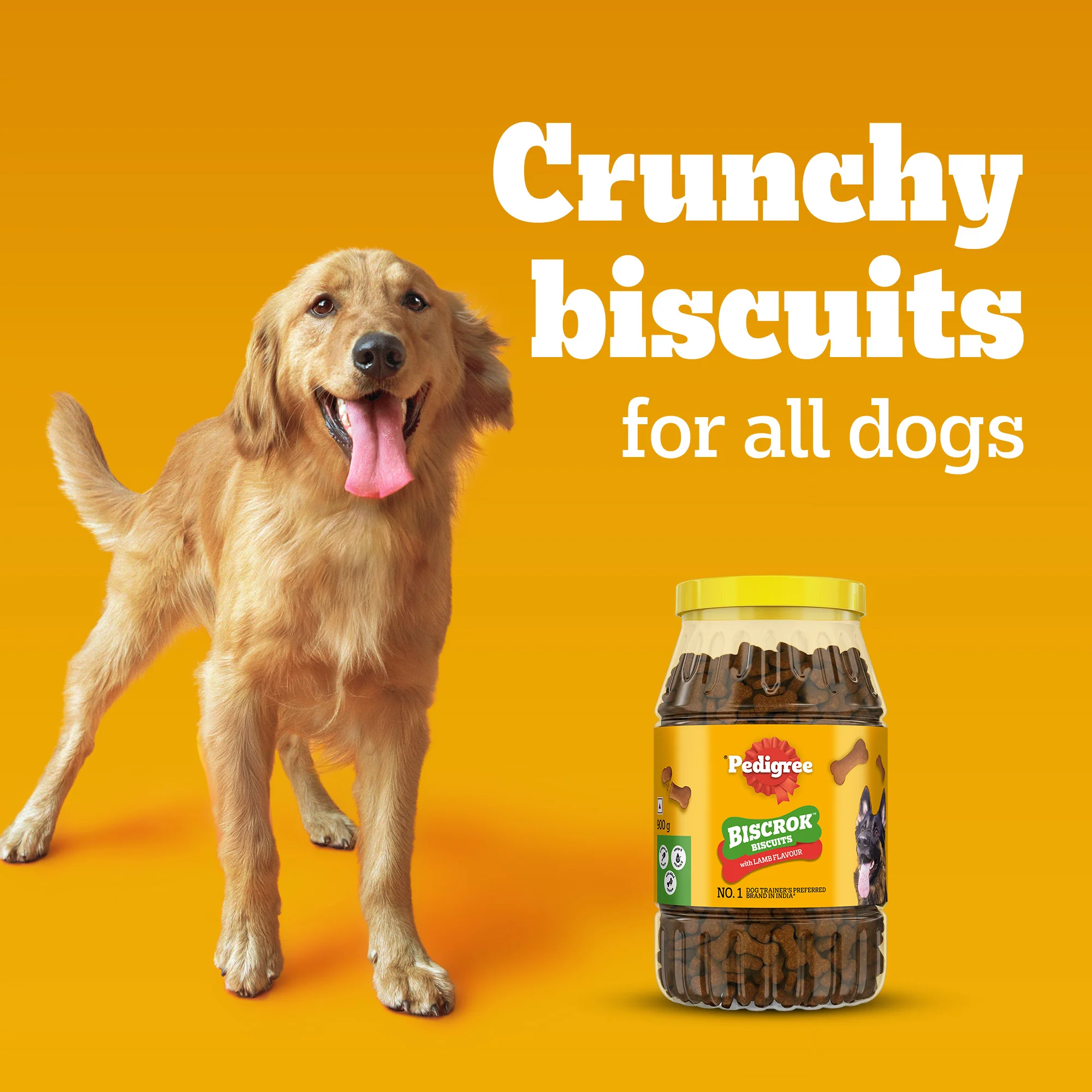 Pedigree Lamb Flavour (4+ Months) Biscrok Biscuits Jar Treats for Dogs - Image 9