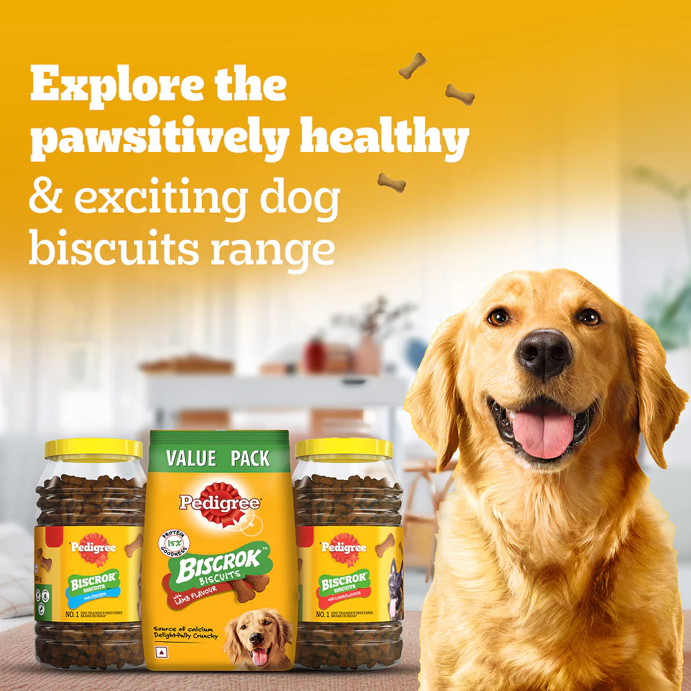 Pedigree Lamb Flavour Biscrok Biscuits Dog Treats (900g) - Image 11