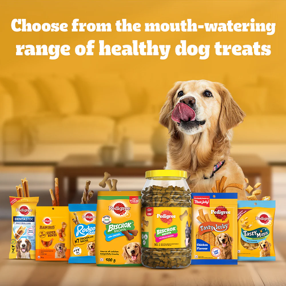 Pedigree Lamb Flavour Biscrok Biscuits Dog Treats (900g) - Image 13