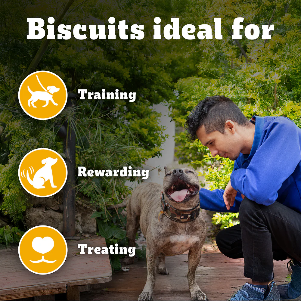 Pedigree Lamb Flavour Biscrok Biscuits Dog Treats (900g) - Image 3