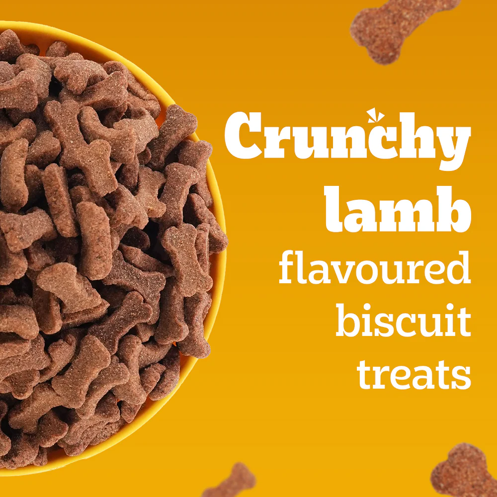 Pedigree Lamb Flavour Biscrok Biscuits Dog Treats (900g) - Image 8