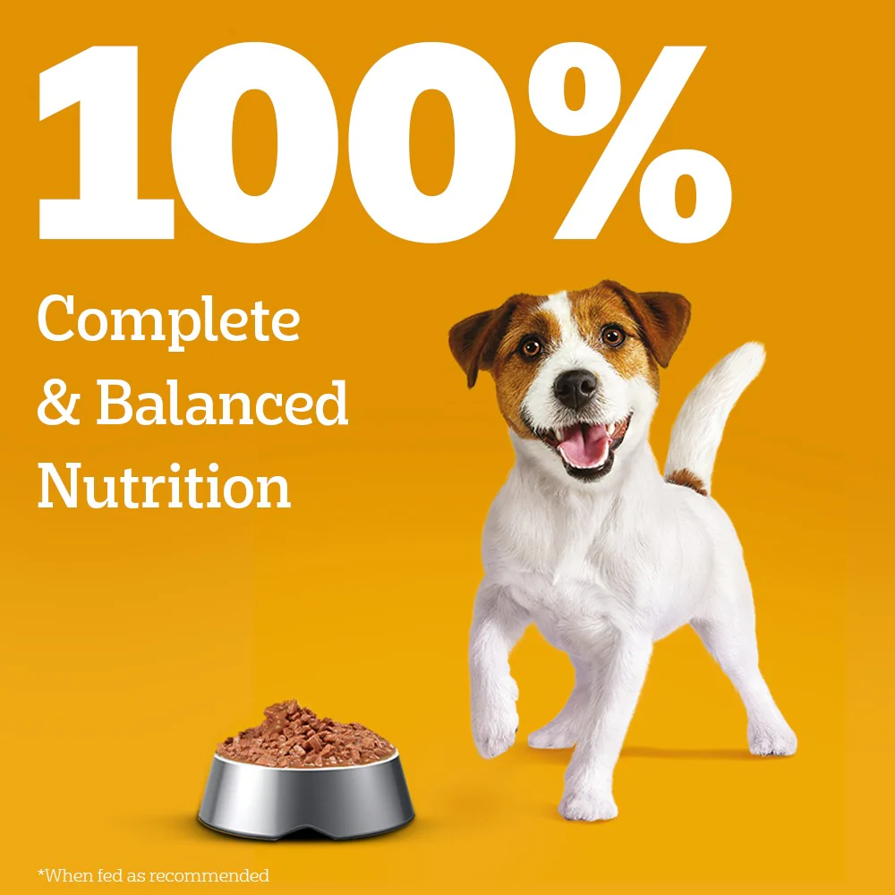 Pedigree Lamb Flavour Chunks in Gravy Puppy Wet Food - Image 2