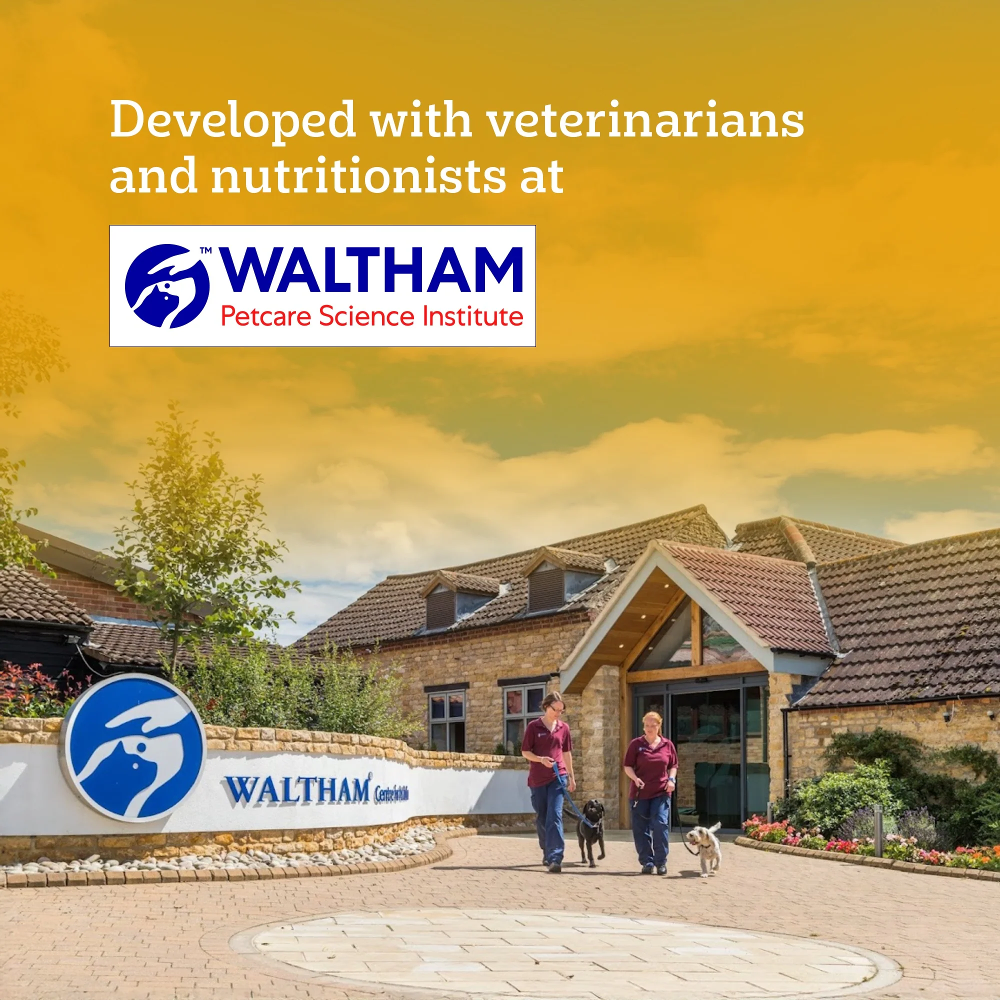 Pedigree Lamb Flavour Chunks in Gravy Puppy Wet Food - Image 16