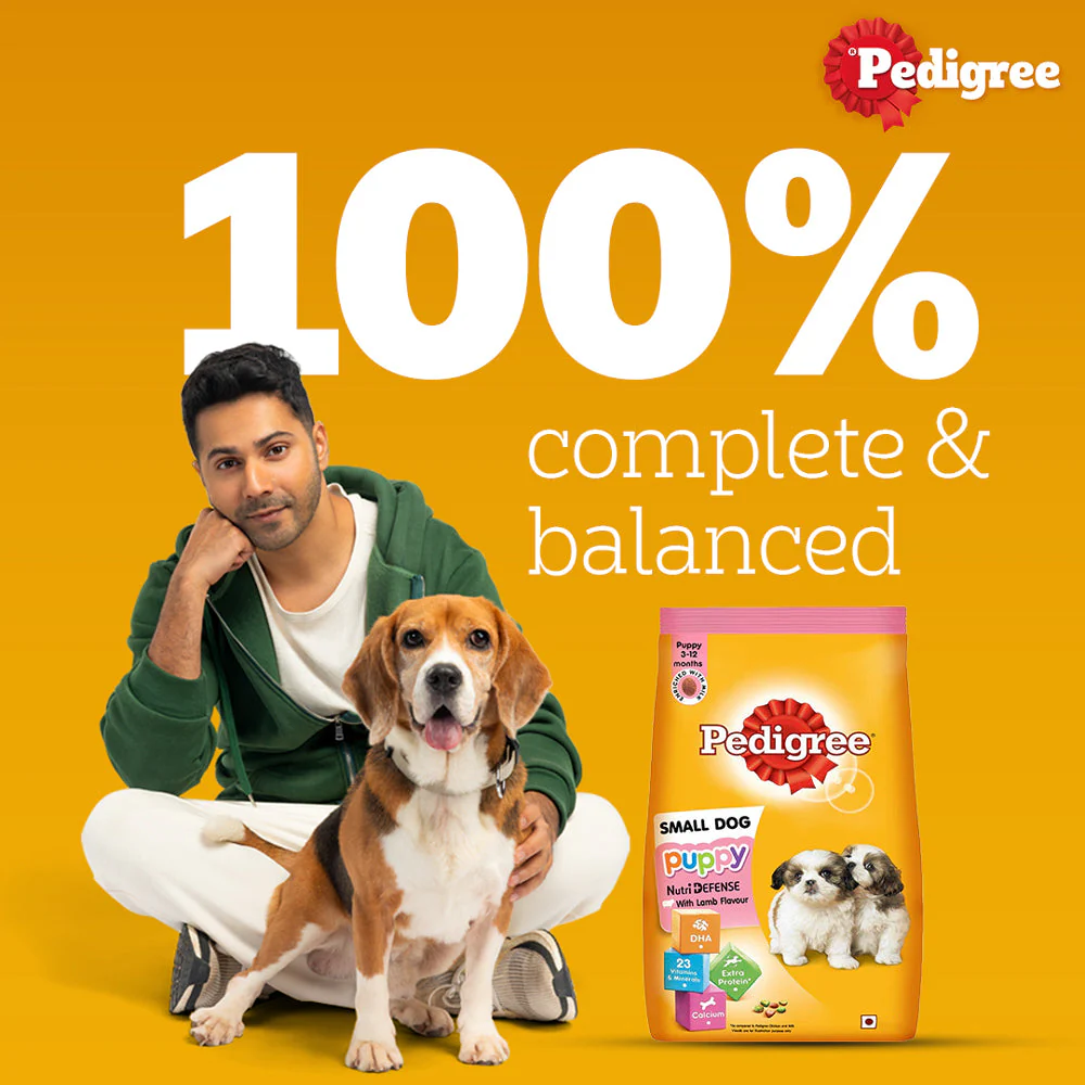 Pedigree Lamb & Milk Small Puppy Dry Food and Lamb Flavour Chunks in Gravy Puppy Wet Food Combo - Image 10