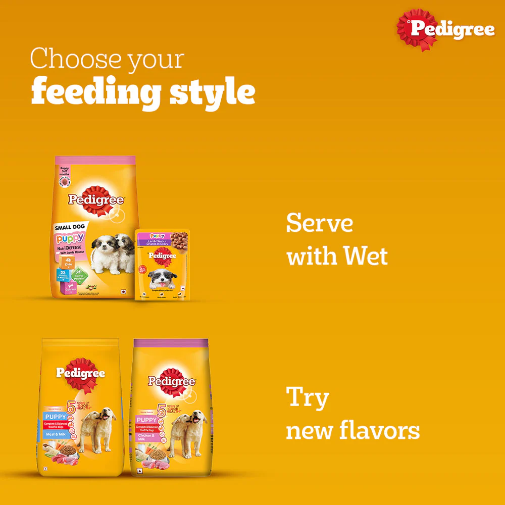 Pedigree Lamb & Milk Small Puppy Dry Food and Lamb Flavour Chunks in Gravy Puppy Wet Food Combo - Image 11