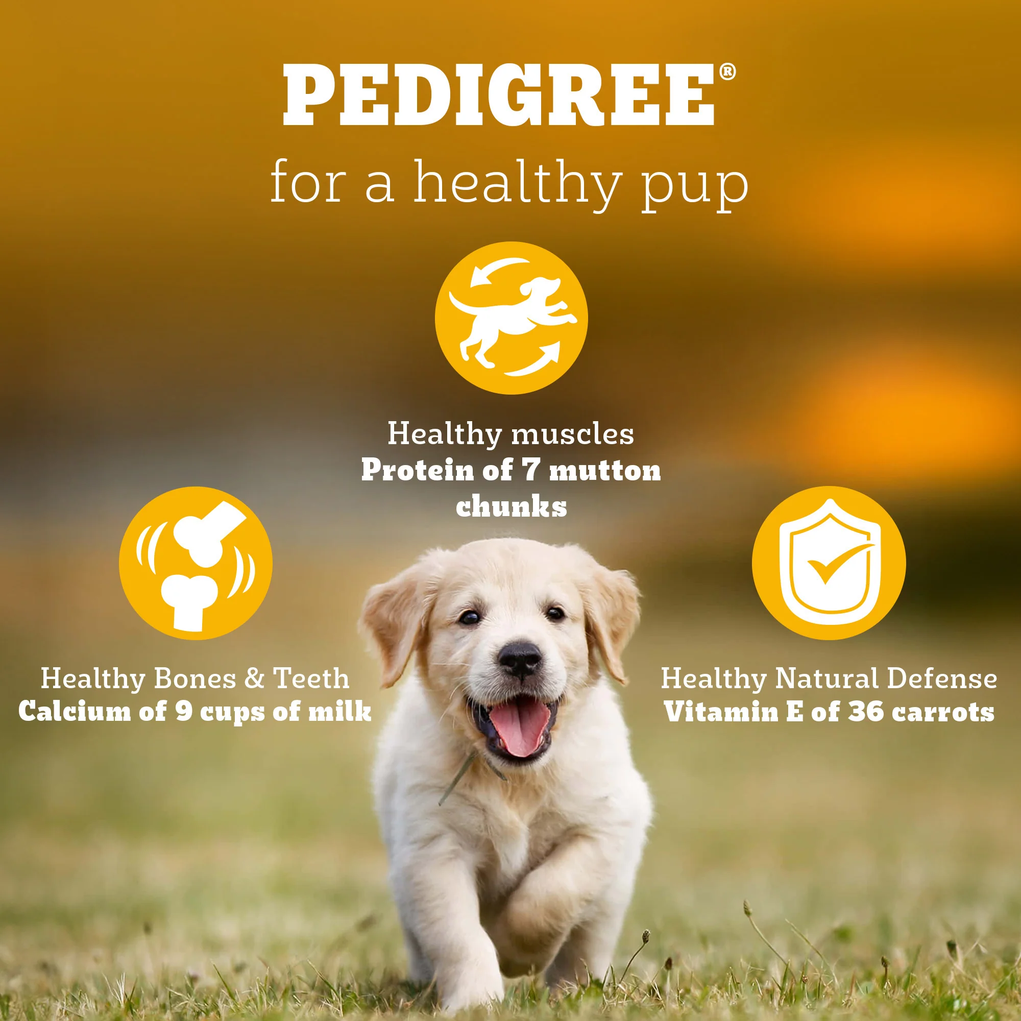 Pedigree Meat & Milk Puppy Dog Dry Food - Image 13