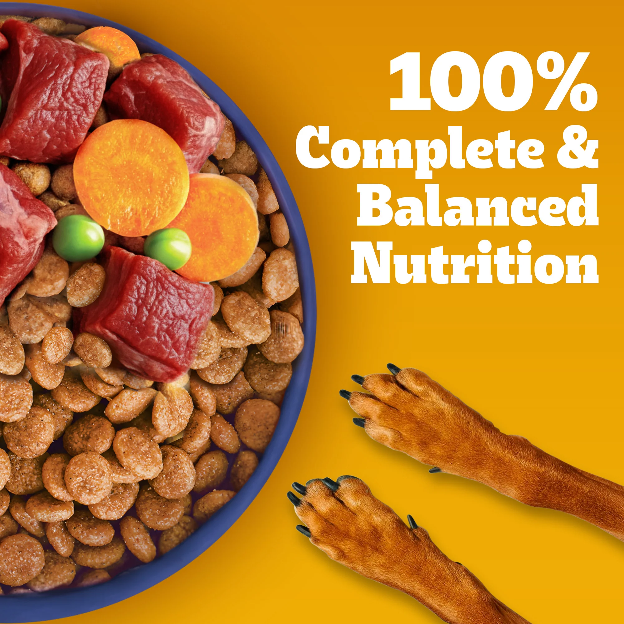 Pedigree Meat & Milk Puppy Dog Dry Food - Image 15