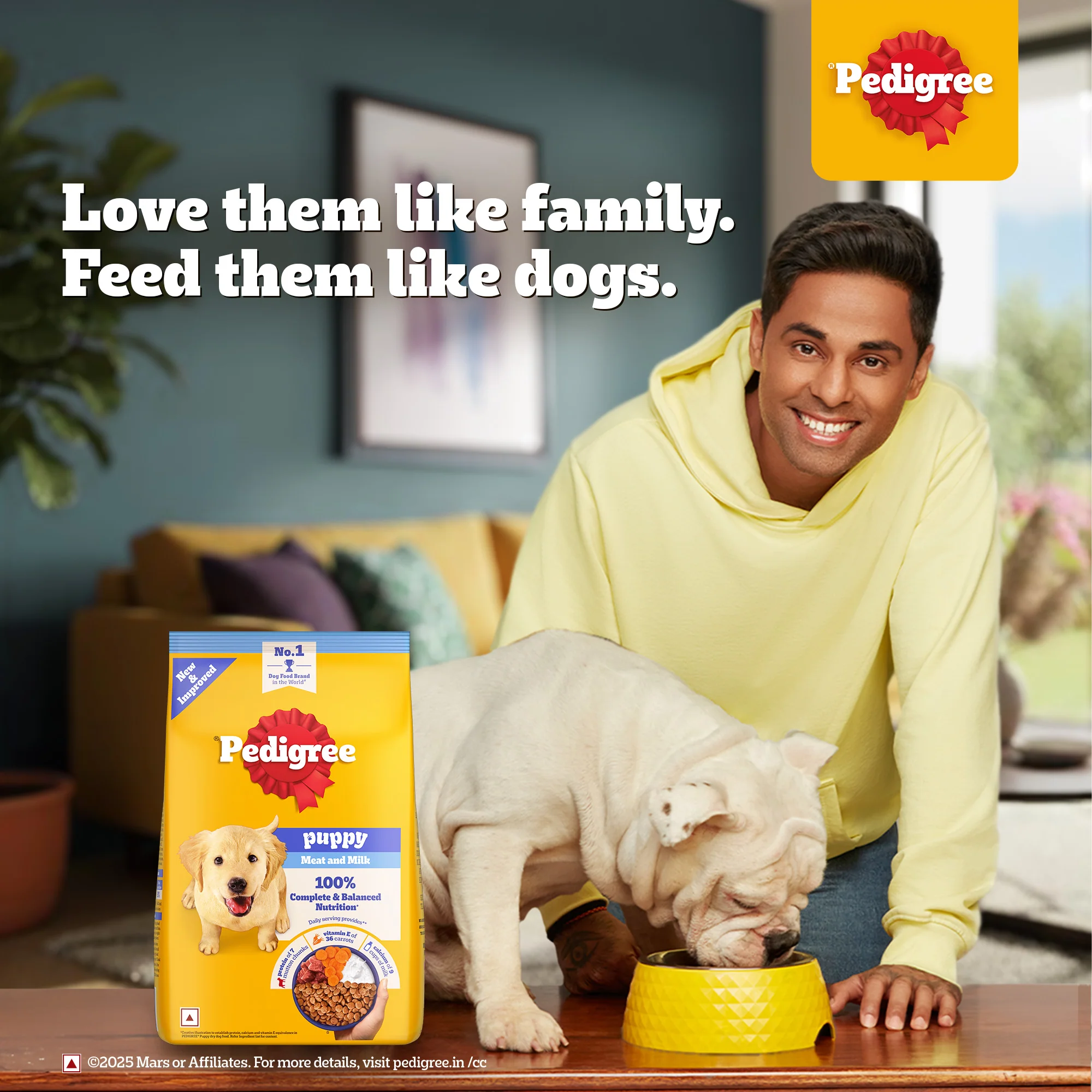 Pedigree Meat & Milk Puppy Dog Dry Food - Image 3