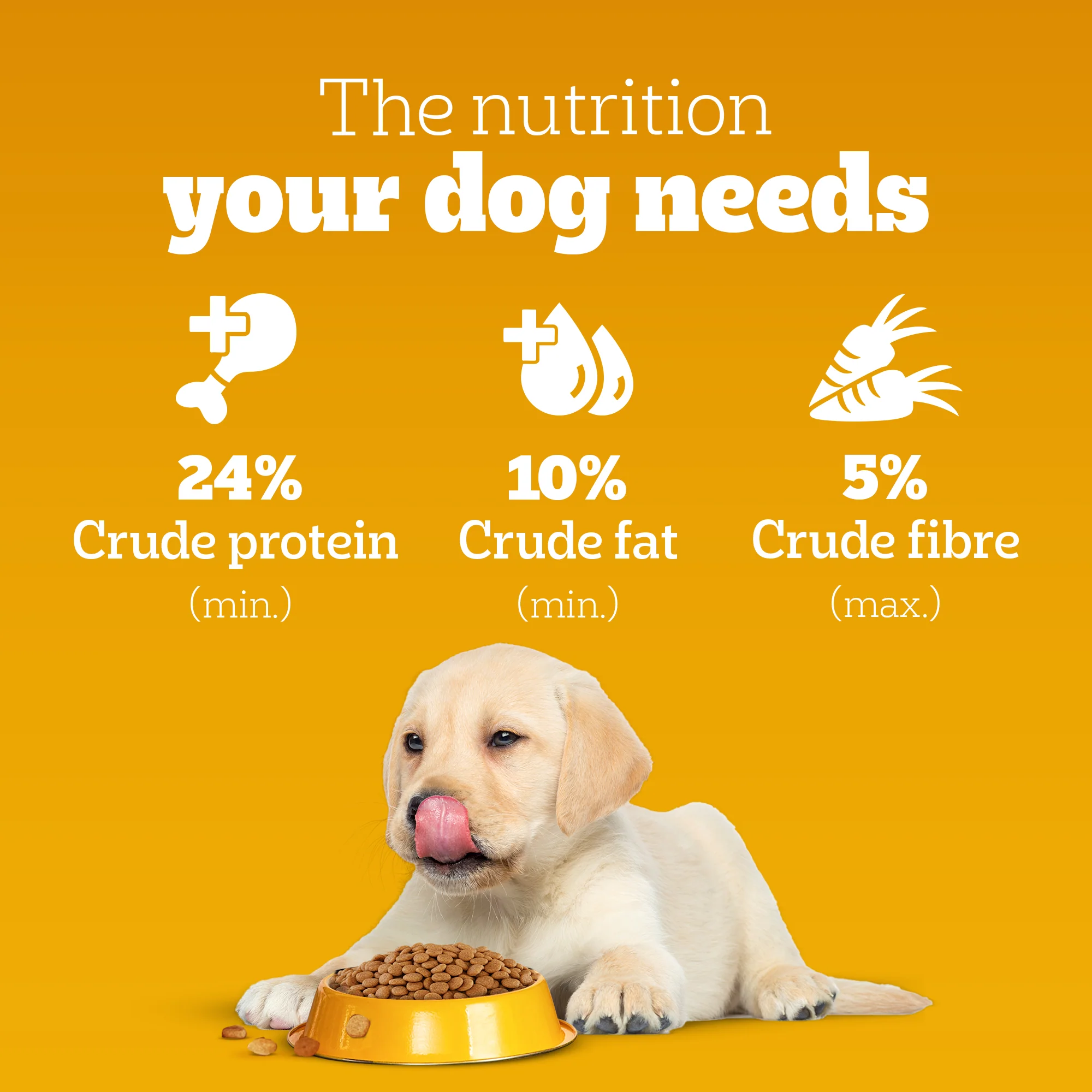 Pedigree Meat & Milk Puppy Dog Dry Food - Image 4