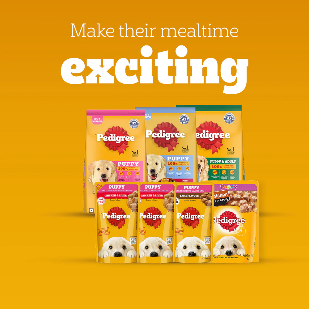 Pedigree Meat & Milk Puppy Dry Food - Image 13