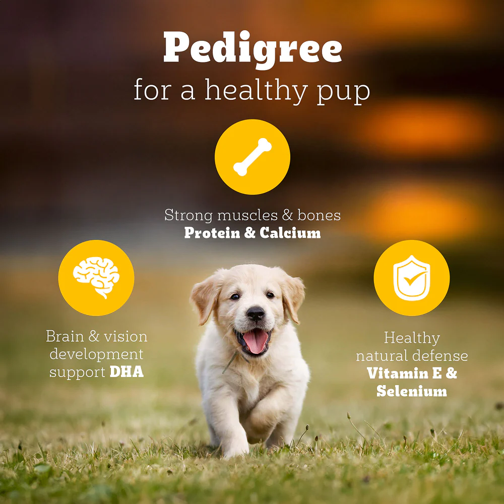 Pedigree Meat & Milk Puppy Dry Food - Image 2