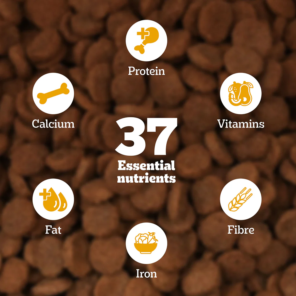 Pedigree Meat & Milk Puppy Dry Food - Image 3