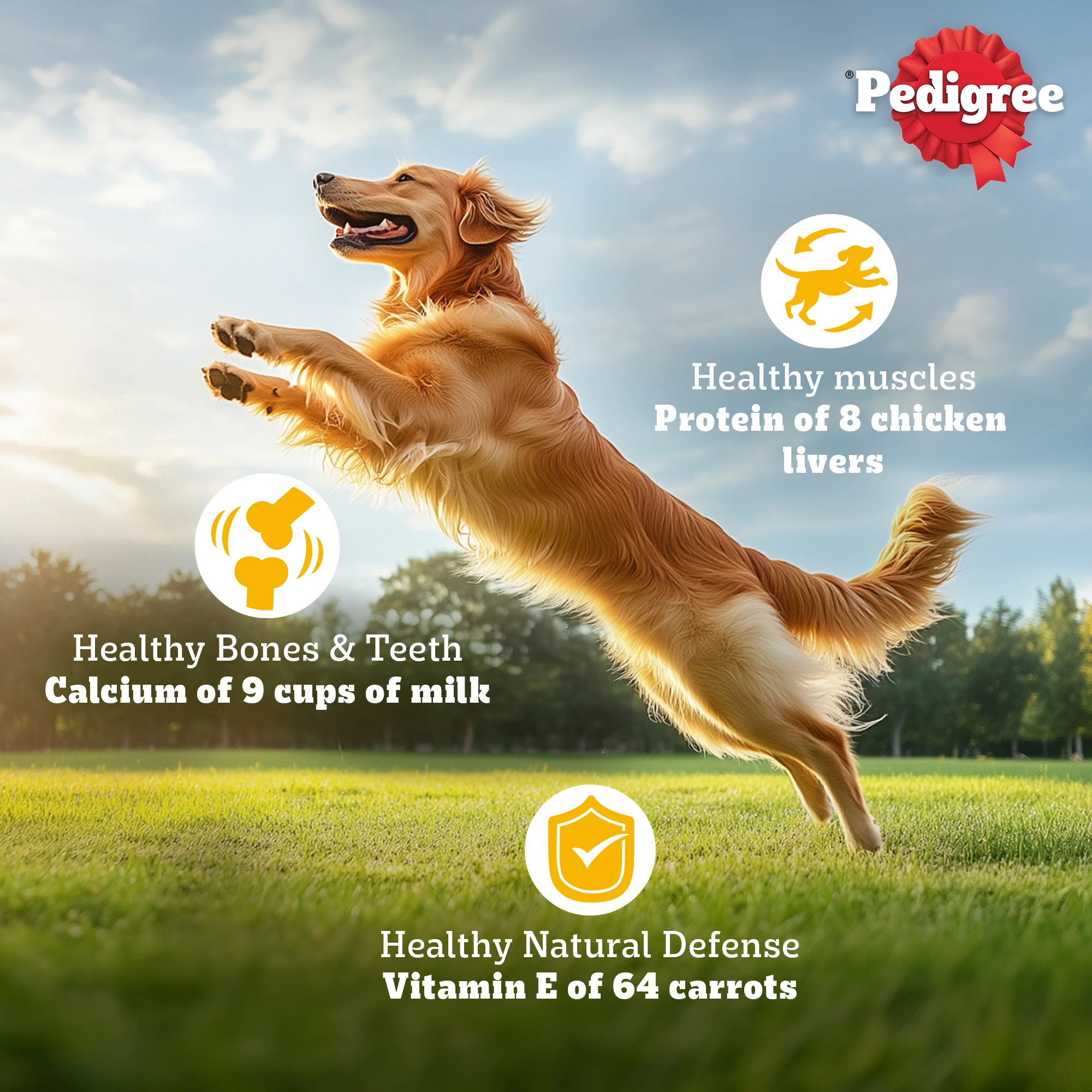 Pedigree Meat & Rice Adult Dog Dry Food - Image 5