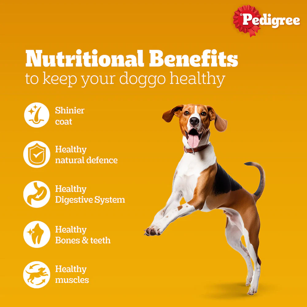 Pedigree Meat & Rice Adult Dog Dry Food - Image 3