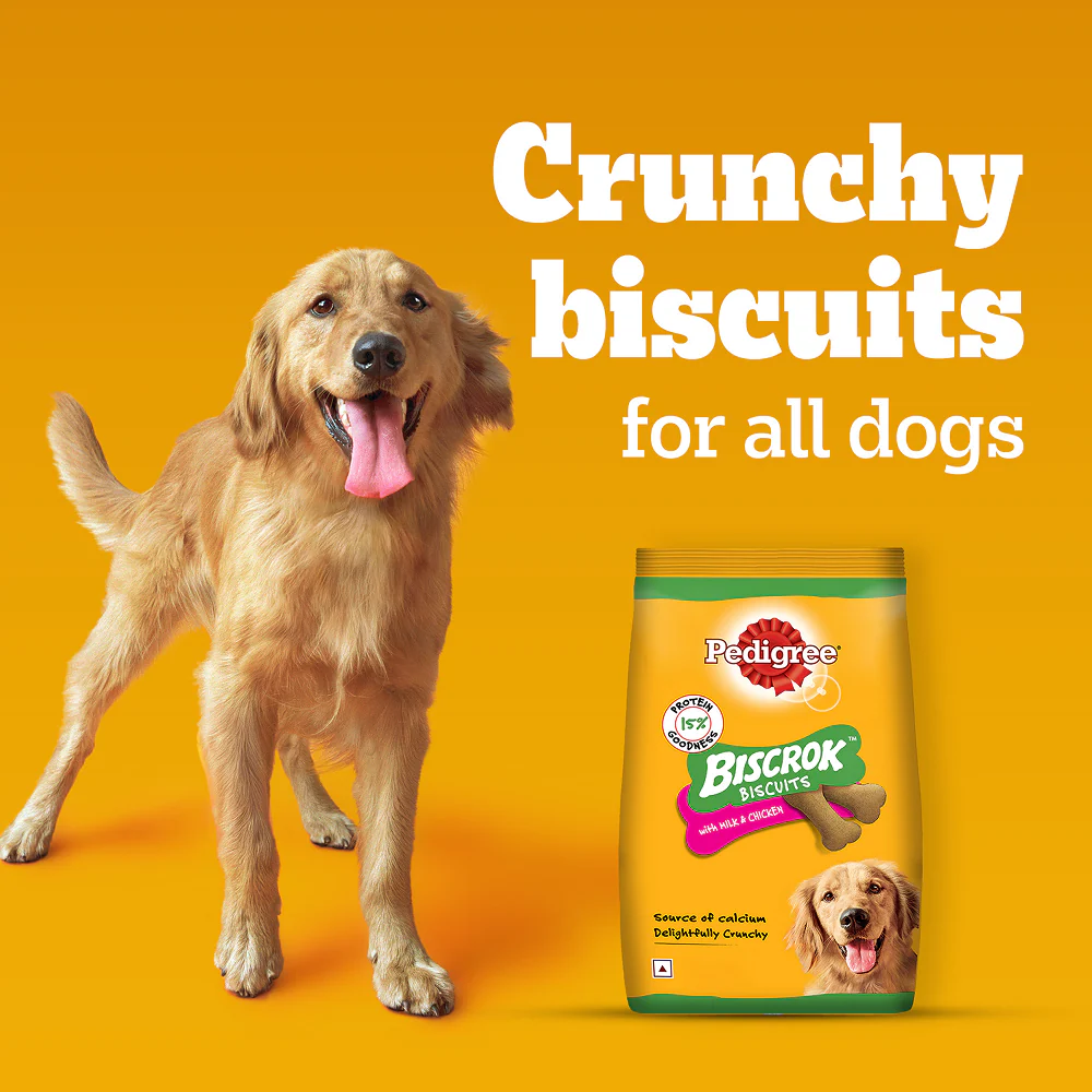 Pedigree Milk and Chicken Flavour Biscrok Biscuits Dog Treats (500g) - Image 12