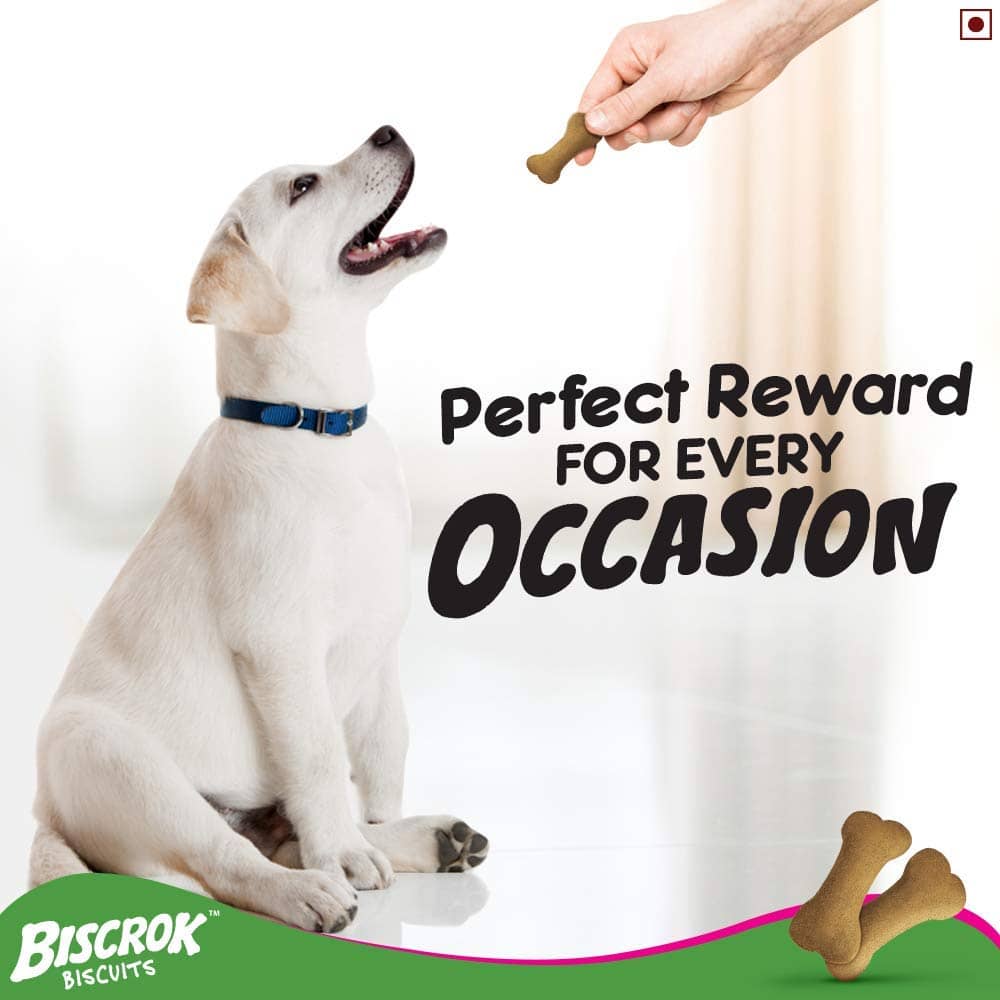 Pedigree Milk and Chicken Flavour Biscrok Biscuits Dog Treats (900g) - Image 8