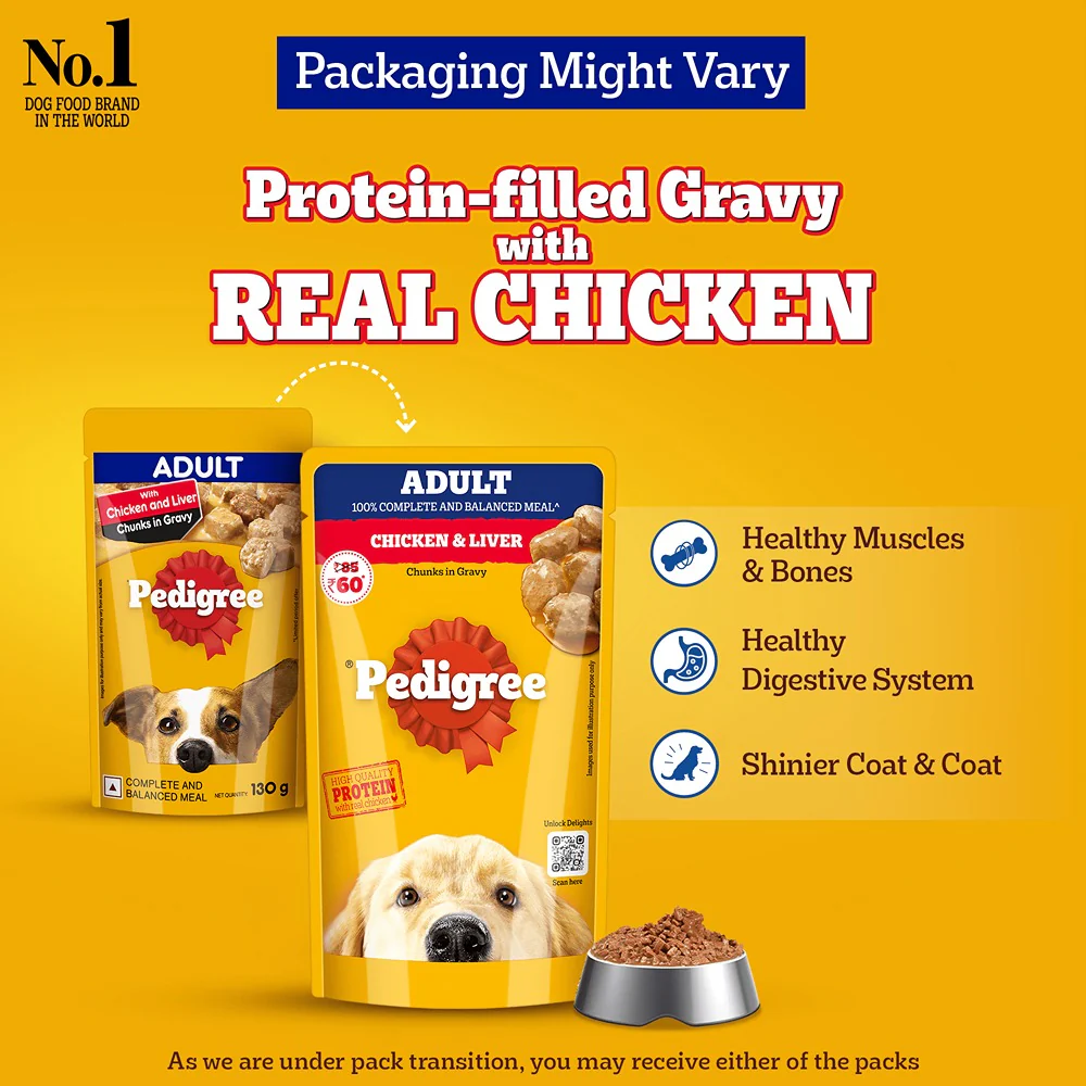 Pedigree PRO Active Adult Large Breed Dry Food, Pedigree Chicken Liver Gravy Adult Dog Wet Food Combo - Image 12