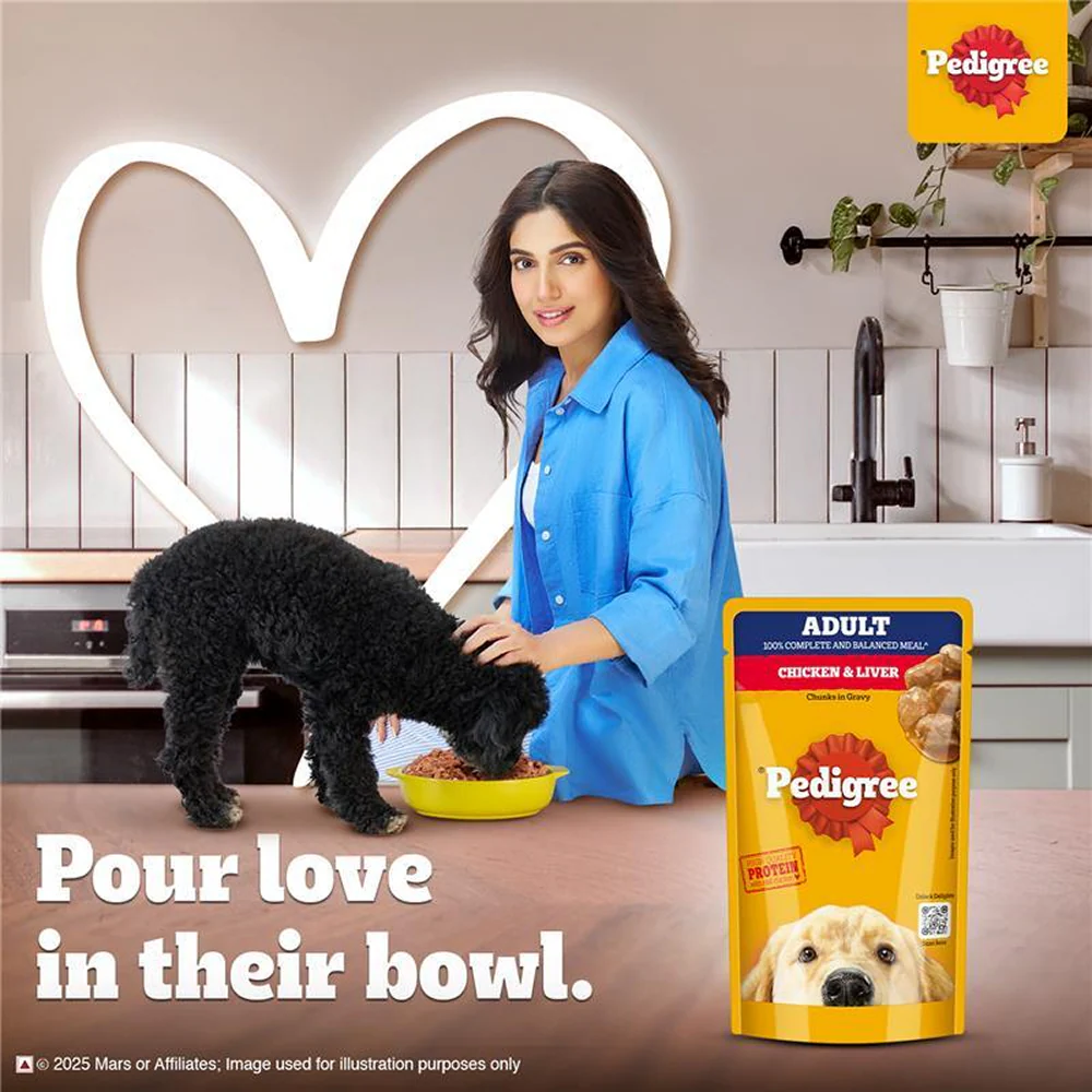 Pedigree PRO Active Adult Large Breed Dry Food, Pedigree Chicken Liver Gravy Adult Dog Wet Food Combo - Image 13