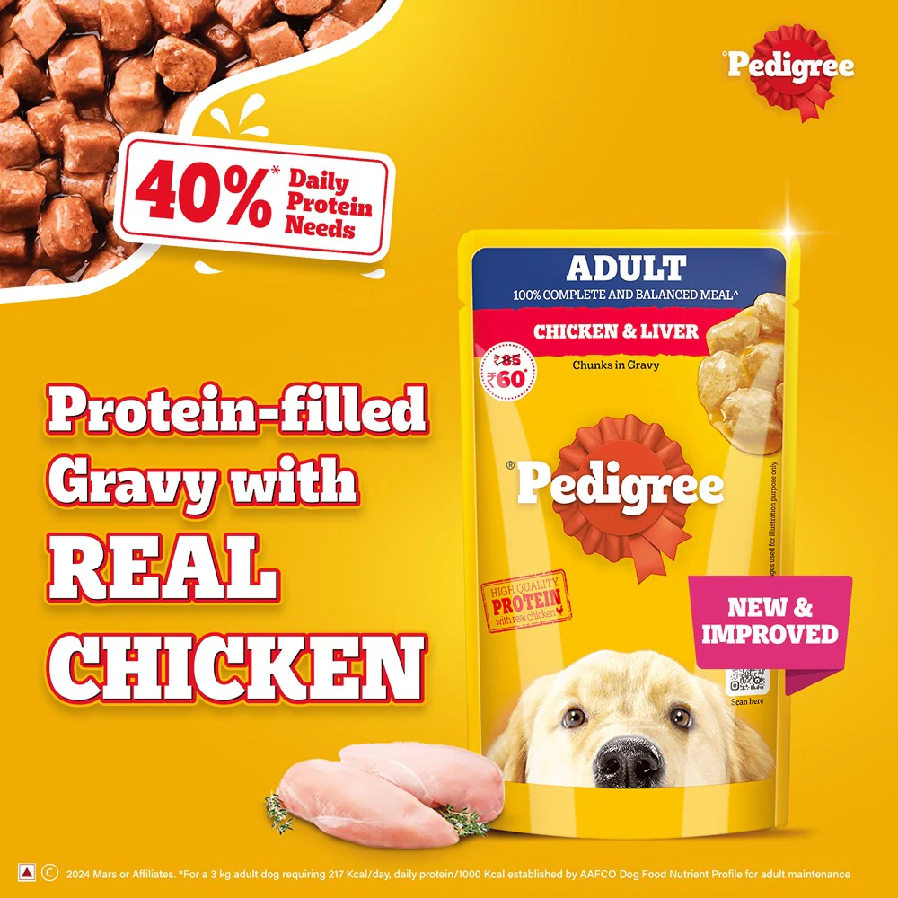 Pedigree PRO Active Adult Large Breed Dry Food, Pedigree Chicken Liver Gravy Adult Dog Wet Food Combo - Image 14