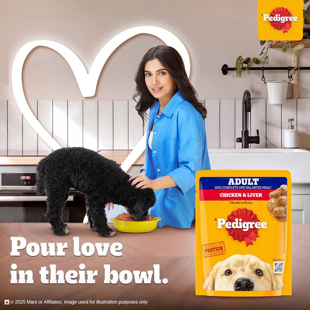 Pedigree PRO Active Adult Large Breed Dry Food, Pedigree Chicken Liver Gravy Dogs Wet Food Combo - Image 13